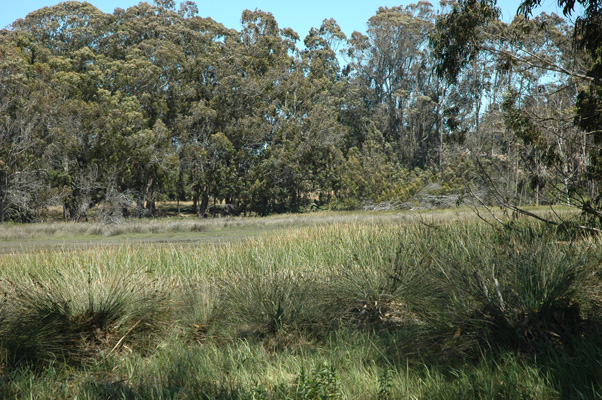 Morro Bay 042.JPG